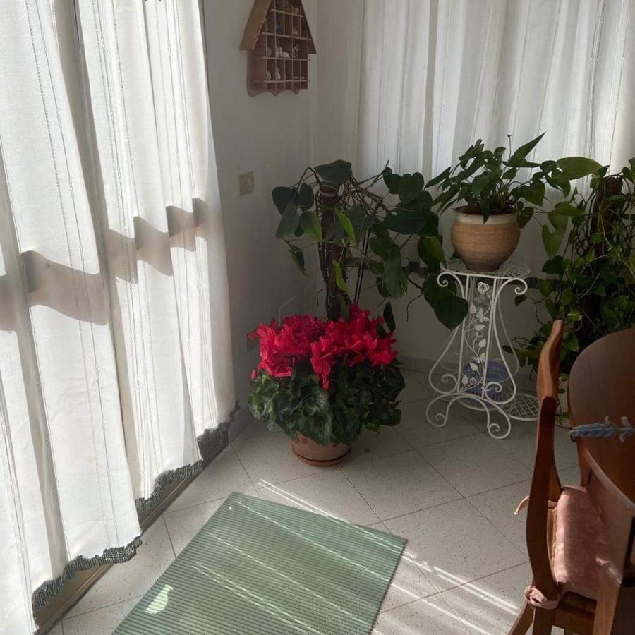 Casa Maltinu Villa Santa Teresa Gallura Dış mekan fotoğraf