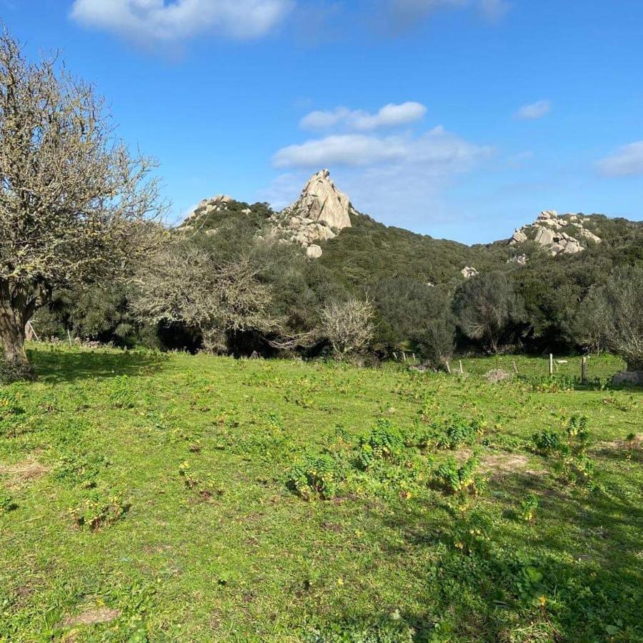 Casa Maltinu Villa Santa Teresa Gallura Dış mekan fotoğraf