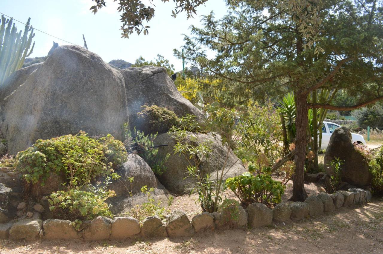 Casa Maltinu Villa Santa Teresa Gallura Dış mekan fotoğraf