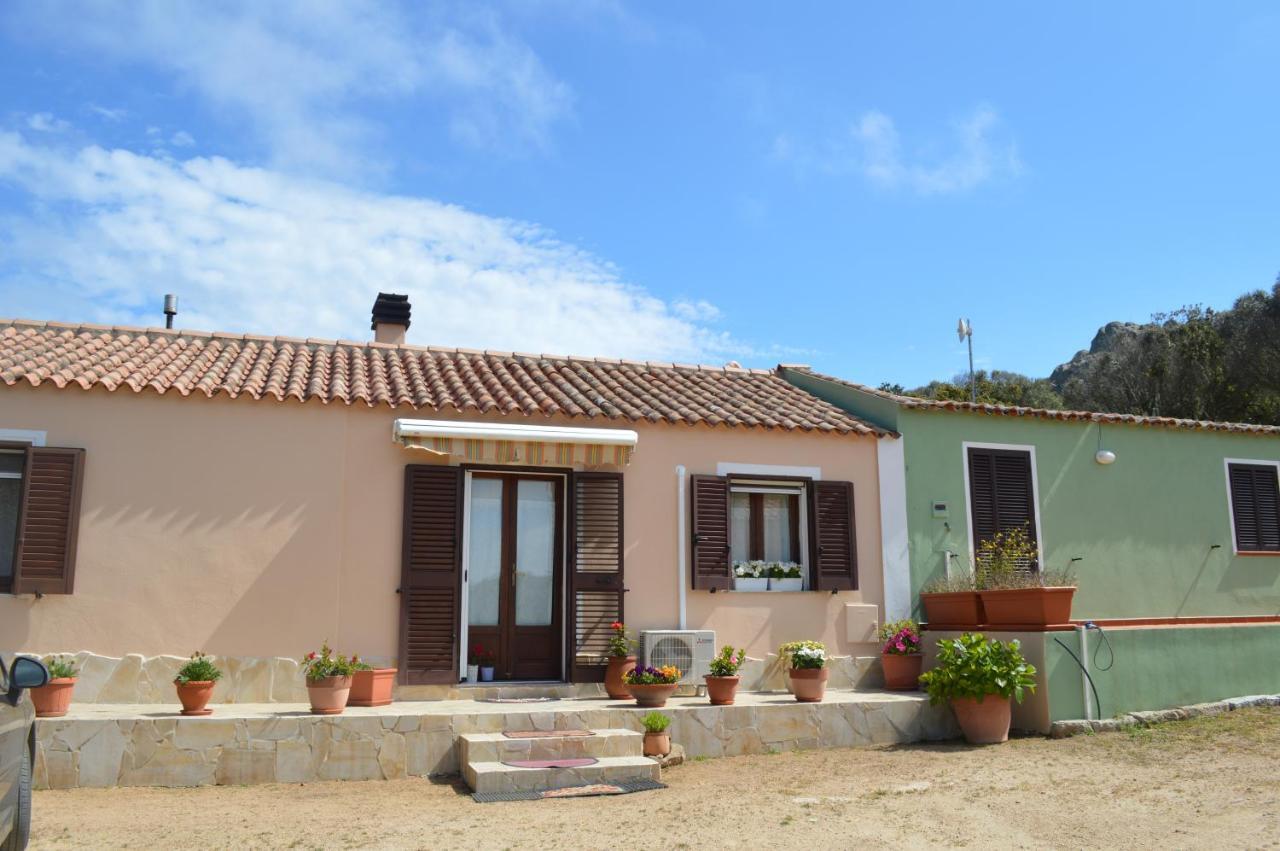 Casa Maltinu Villa Santa Teresa Gallura Dış mekan fotoğraf