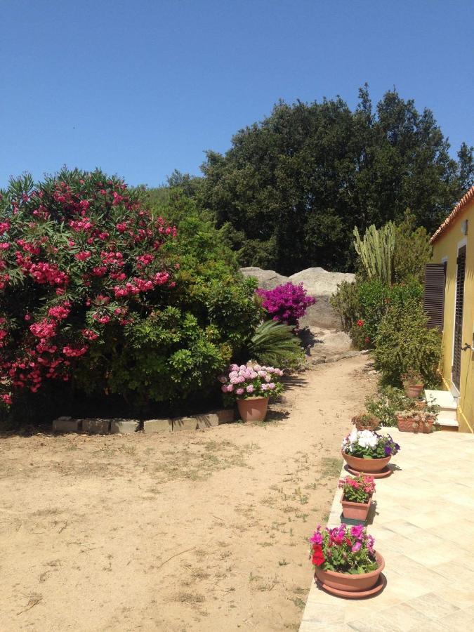 Casa Maltinu Villa Santa Teresa Gallura Dış mekan fotoğraf