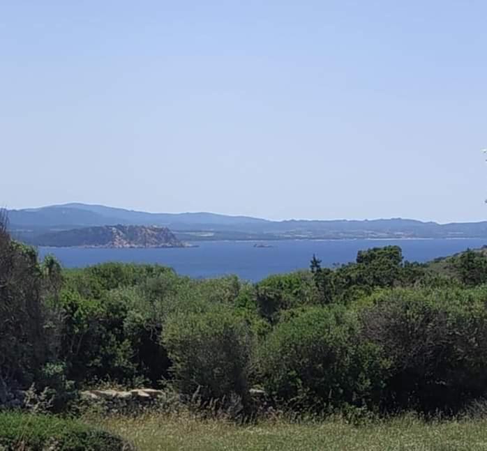 Casa Maltinu Villa Santa Teresa Gallura Dış mekan fotoğraf